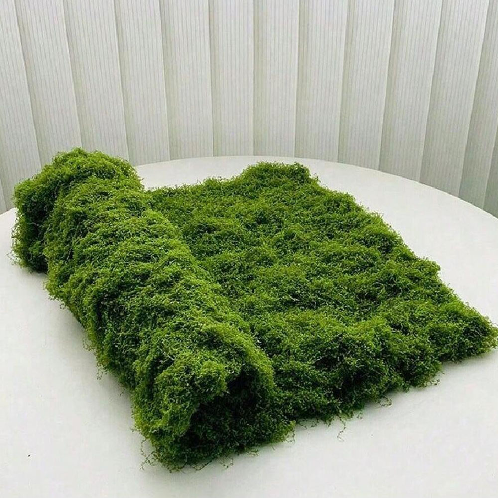 Sphagnum Moss Dry - 1*1M Lumut Palsu DIY Kerajinan Rumput