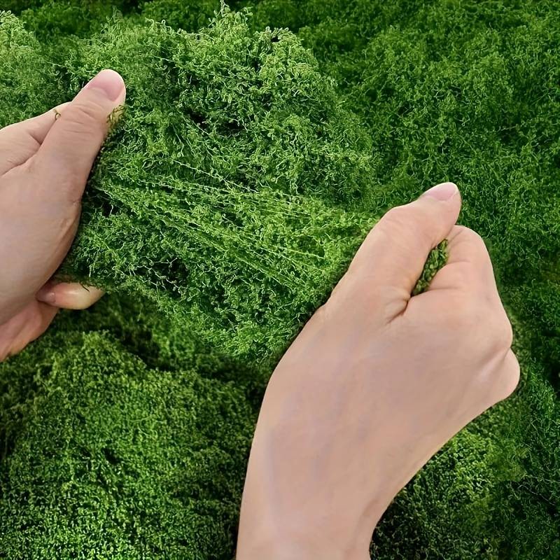 Matras Lumut Palsu 20' X 20' u - Sphagnum Moss Dry ulasan dan harga