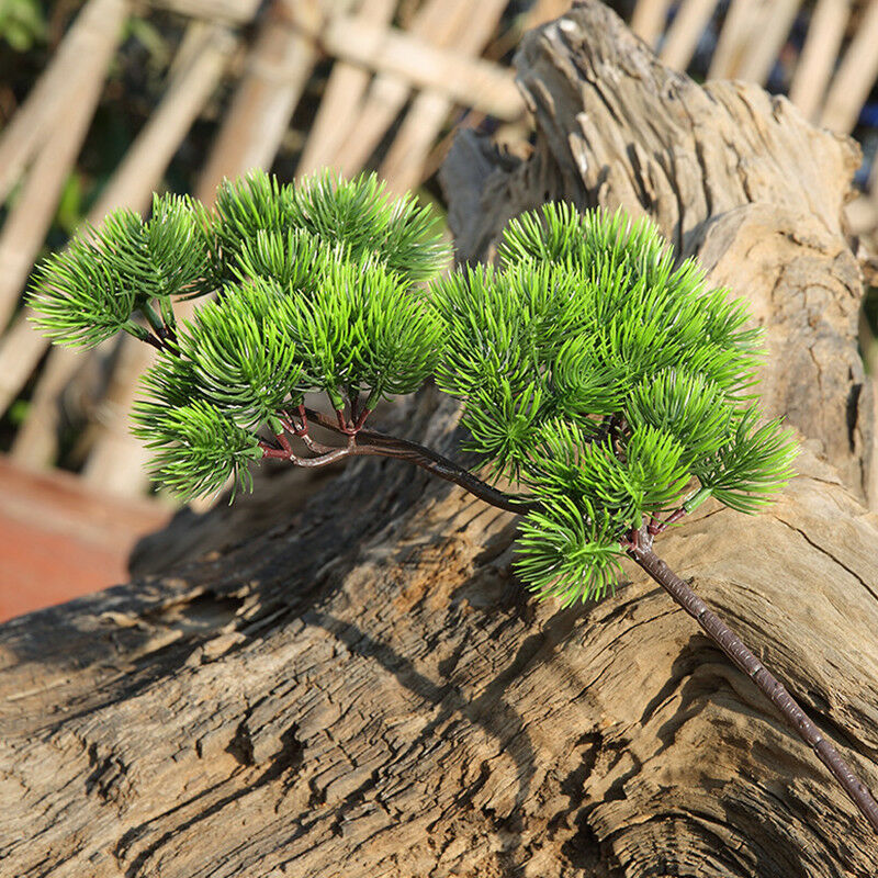 Tanaman buatan dekorasi, 42cm  - Sphagnum Moss Dry ulasan dan harga
