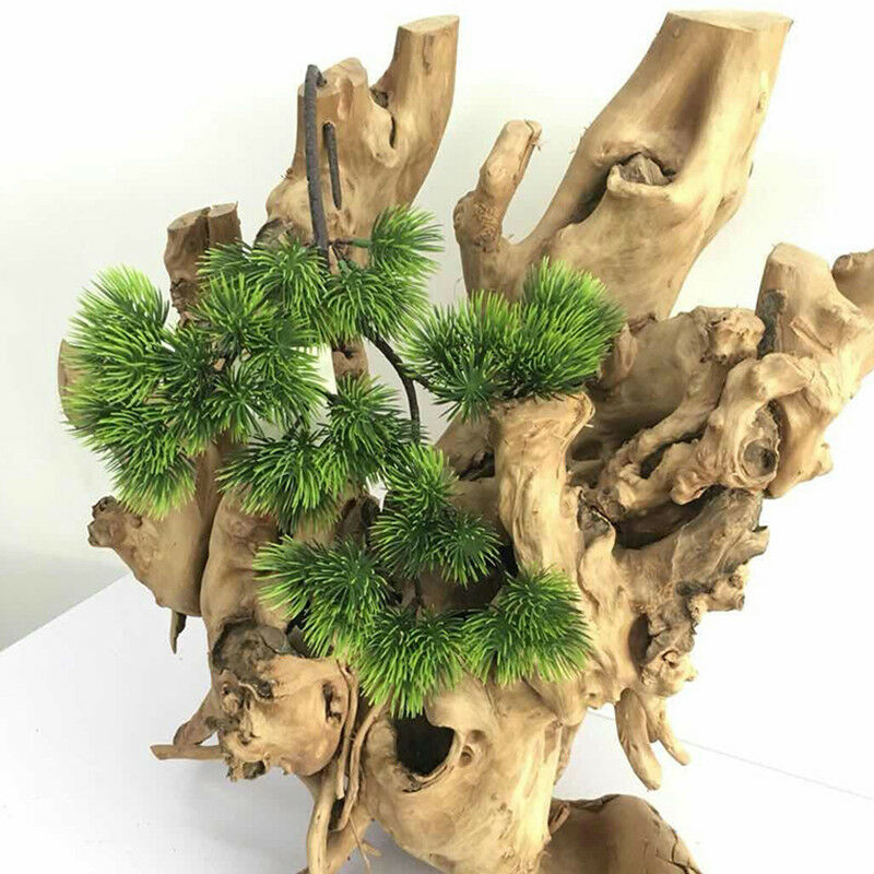 Tanaman buatan dekorasi, 42cm  - Sphagnum Moss Dry ulasan dan harga