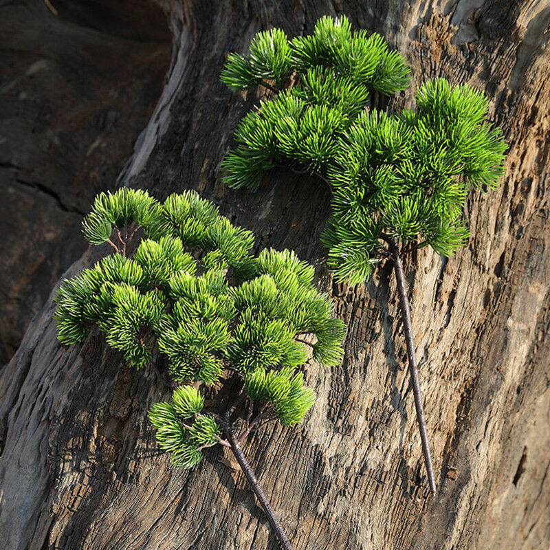 Tanaman buatan dekorasi, 42cm  - Sphagnum Moss Dry ulasan dan harga