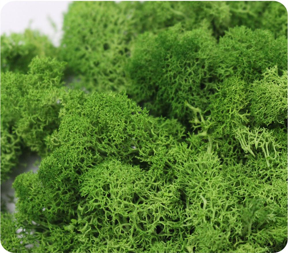 Buatan Tanaman Hidup Abadi Mos - Sphagnum Moss Dry ulasan dan harga