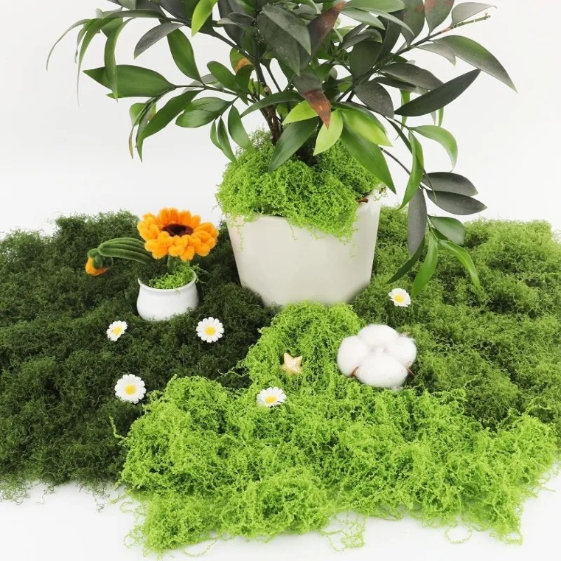 Lumut Hijau Buatan Lumut Palsu - Sphagnum Moss Dry ulasan dan harga