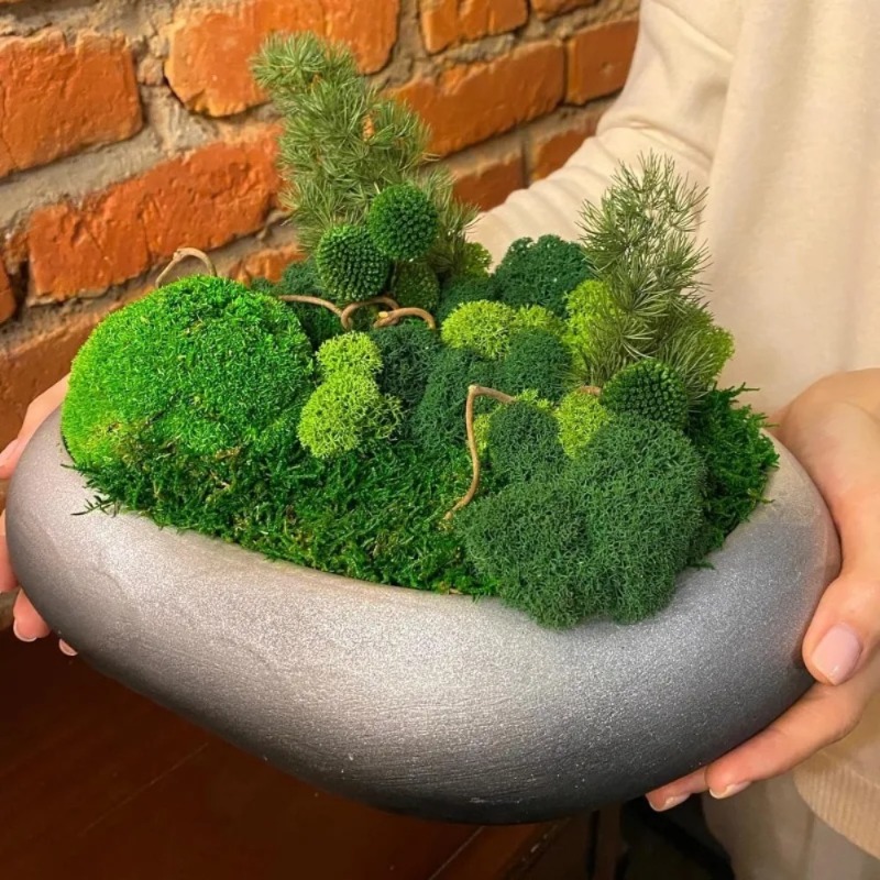 Lumut Hijau Buatan Lumut Palsu - Sphagnum Moss Dry ulasan dan harga