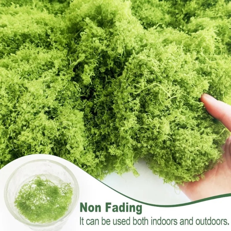 Lumut Hijau Buatan Lumut Palsu - Sphagnum Moss Dry ulasan dan harga