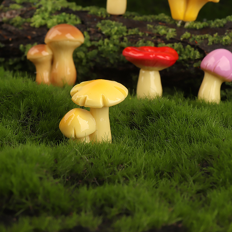 Aksesoris Dekorasi Lanskap DIY - Sphagnum Moss Dry ulasan dan harga